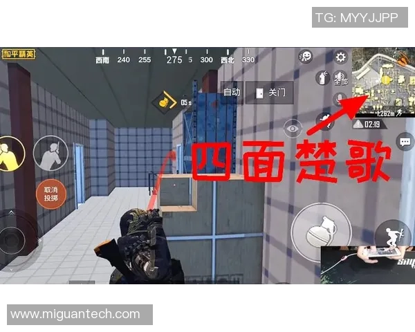 和平精英战术解析FPX团队防反体系的策略与应用探讨