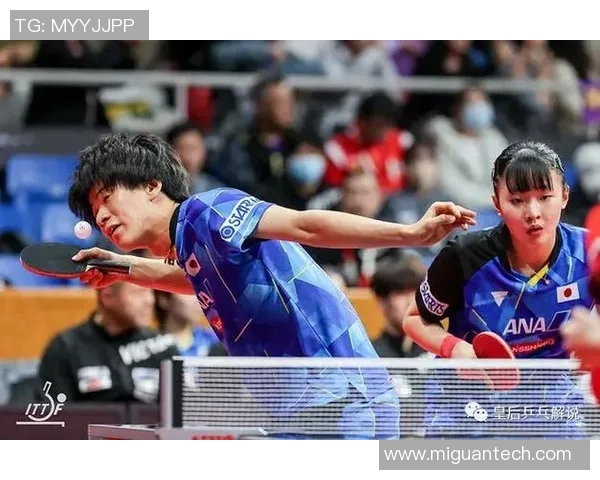 成都排球队在世界杯预选赛中的拼搏与荣耀之路详解