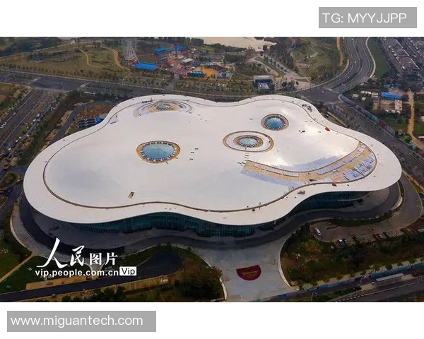 武汉极限运动队的奋斗历程与激情瞬间全景纪实