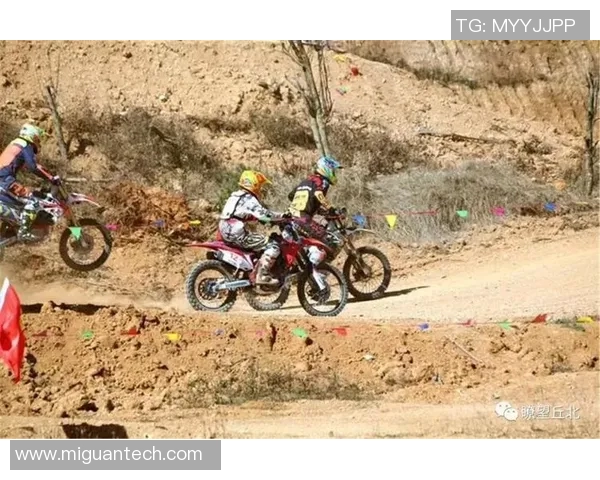 深圳极限运动队战术对比深度解析与未来发展趋势探讨