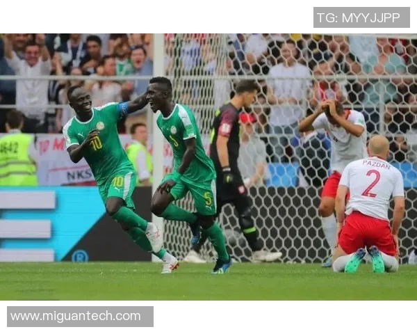 埃及与哥伦比亚足球场地对比分析探讨赛事影响与观众体验